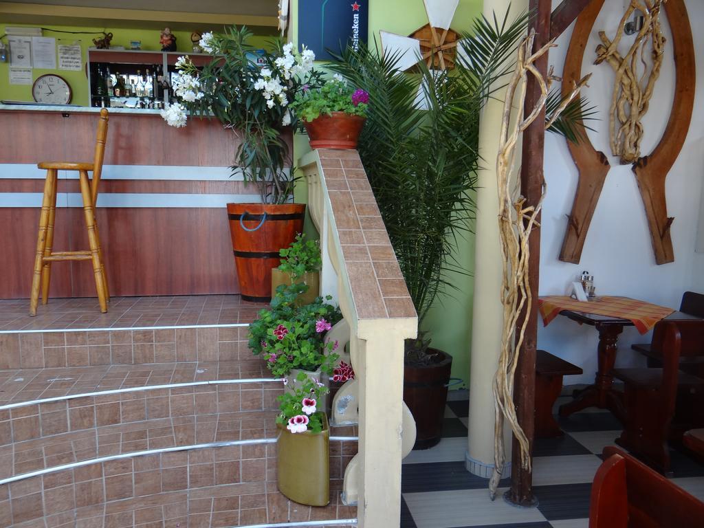 Guest House Rosa كيتن المظهر الخارجي الصورة