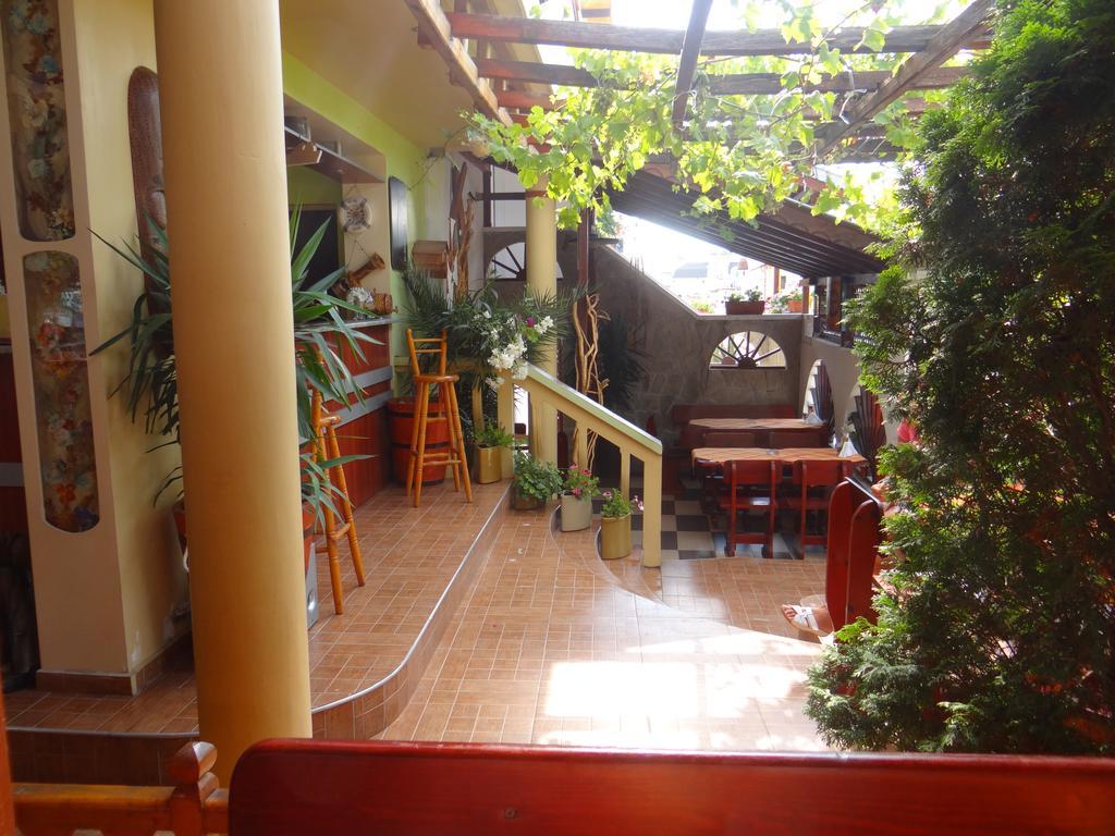 Guest House Rosa كيتن المظهر الخارجي الصورة
