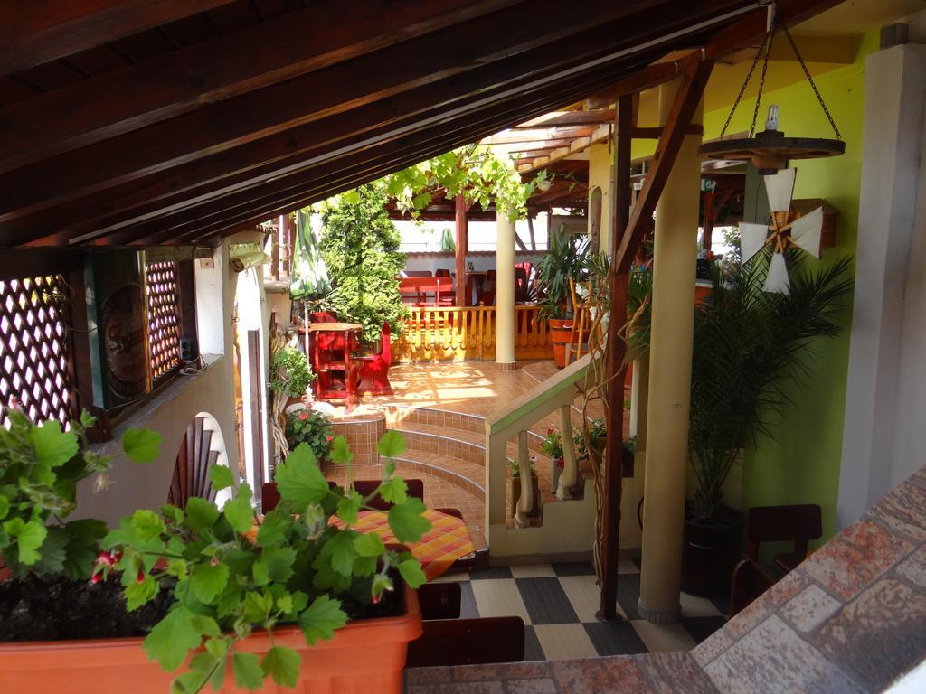 Guest House Rosa كيتن المظهر الخارجي الصورة
