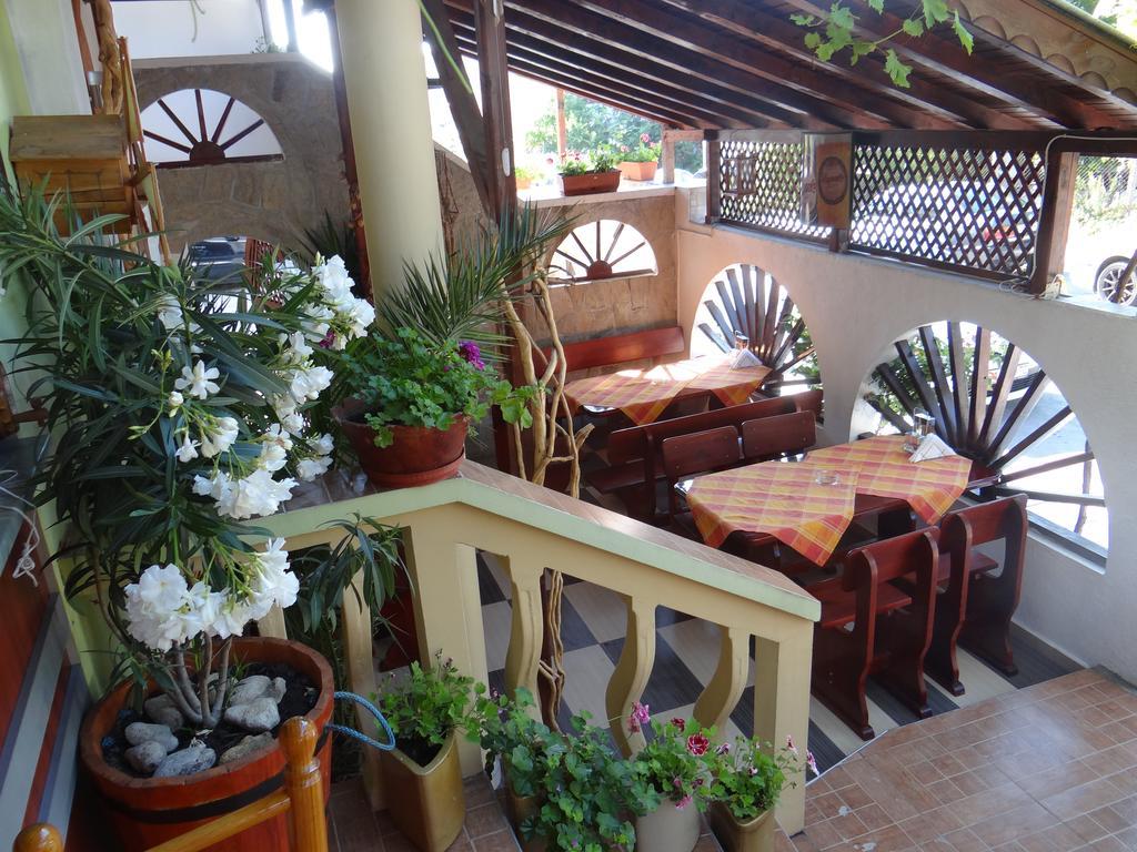 Guest House Rosa كيتن المظهر الخارجي الصورة